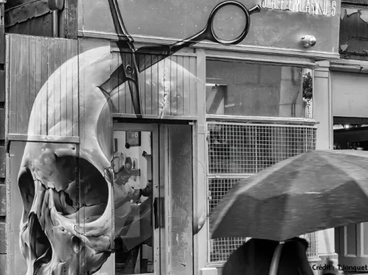 Série Noire, un livre une photo © Série noire