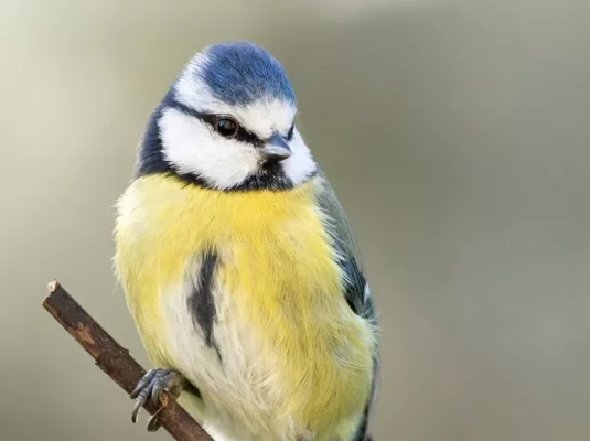 City challenge nature