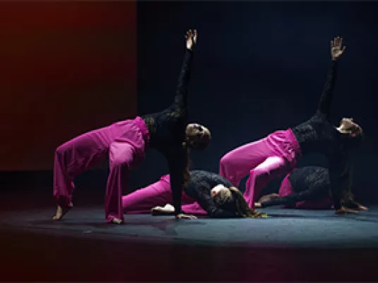 SPECTACLE DE DANSE