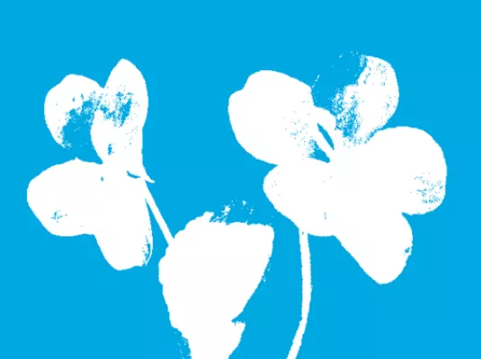 Week-end d'ouverture du Nouveau Printemps © Nouveau Printemps - Aline Schneider