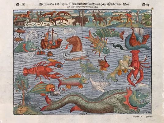 Café-curiosité : Pourquoi les Krakens sont-ils antipathiques ? © Monstres marins par Sebastian Münster