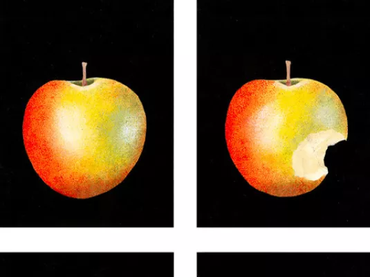 Métamorphose © Bernadette Gervais