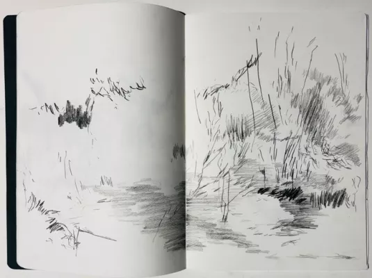 Stage : Le dessin comme espace d'exploration