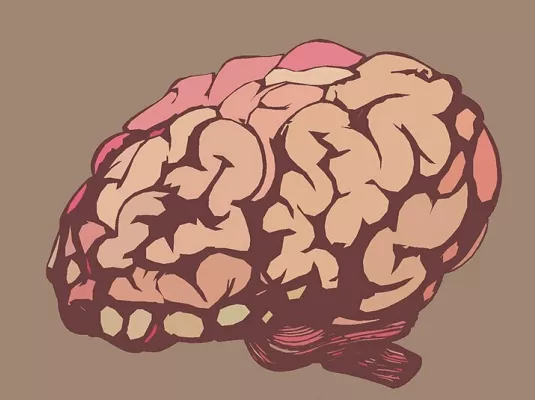 Découvre ton cerveau !