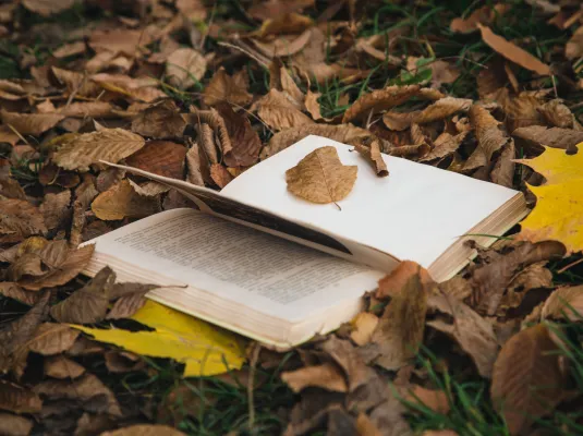 Atelier de curiosité : lire et dire la Terre