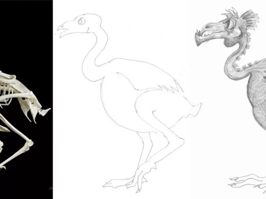 Atelier dessin : anime ton animal