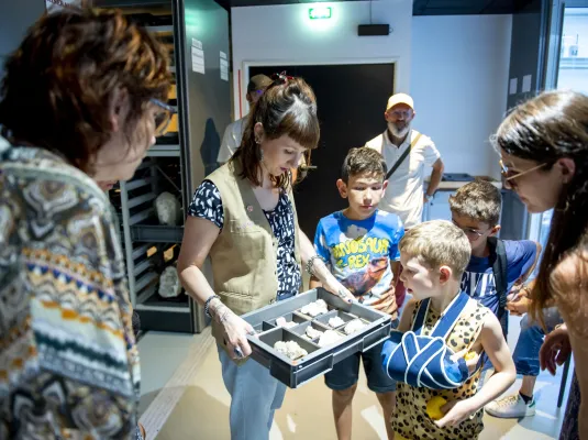 Visite de la Réserve pédagogique © Frank Alix, Museum de Toulouse