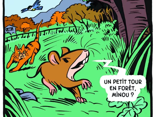 Stage visite-atelier BD avec Aurélien Cantou : les animaux de la basse-cour à l'honneur !