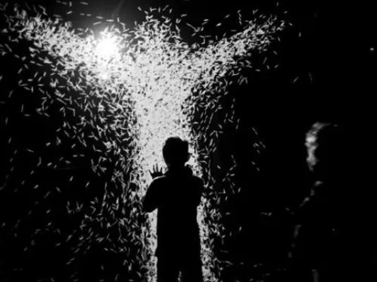 XYZT, les paysages abstraits © DR