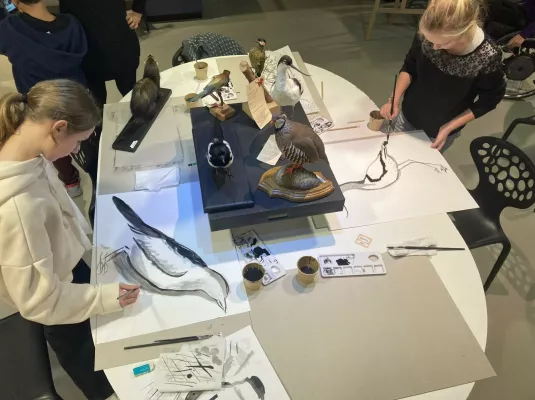 Atelier dessin naturaliste