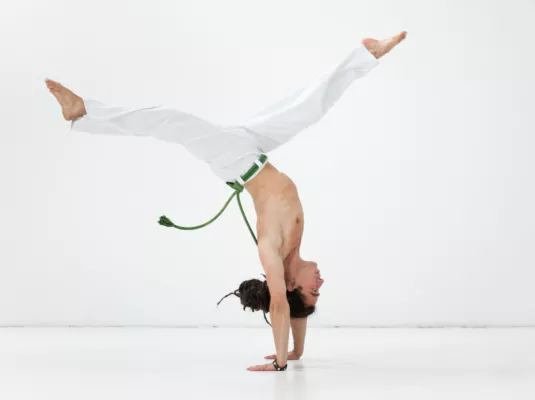 Découverte de la capoeira - Mercredi 26 février