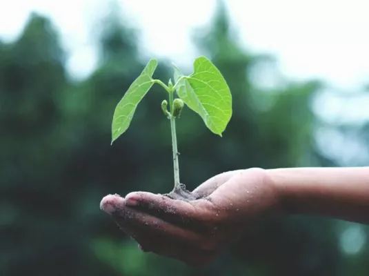 "Changement climatique et vulnérabilités territoriales : quelles stratégies d'adaptation pour une transition juste et durable ?"