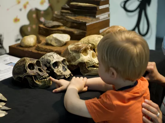Forum de l'archéologie © Forum de l'archéologie