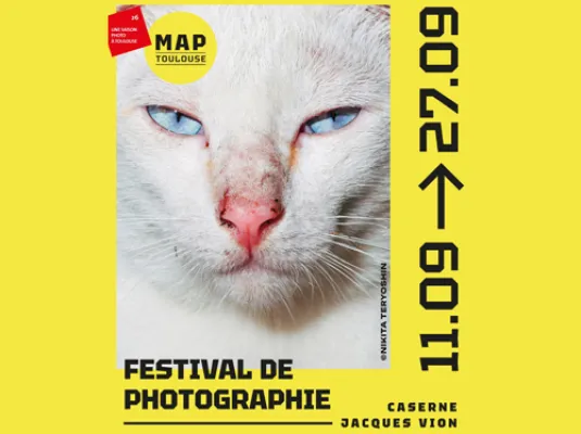 Festival de photo MAP Toulouse © Nikita Tervoshin - Festival de photo MAP Toulouse