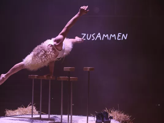 Toustes VIP - Les 30 et 31 décembre