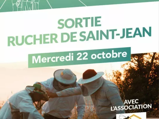 Sortie au rucher de Saint-Jean