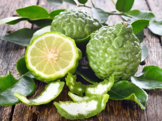 Exploration botanique et sensorielle des agrumes © Freepik