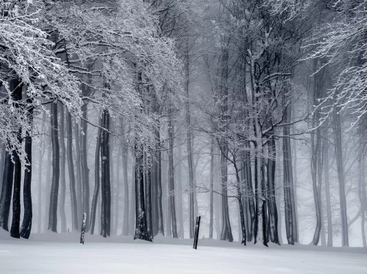 "LE SONGE D'UNE NUIT D'HIVER", Nathan Croquet et La Classe d'Après