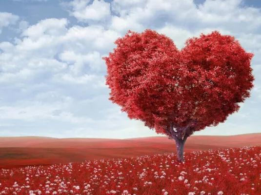 Lectures partagées sur le thème de l'amour.