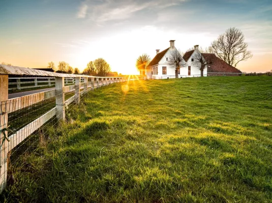 Sortie à la ferme du Paradis à Rieumes