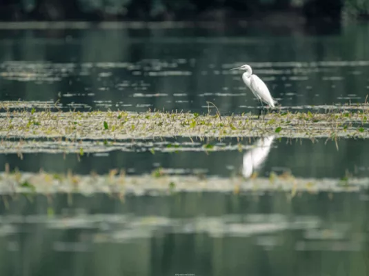 Balade nature pour les séniors
