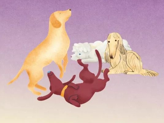 Visite de l'exposition 4 pattes