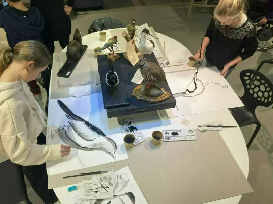 Atelier de dessin naturaliste à Tournefeuille © Muséum de Toulouse