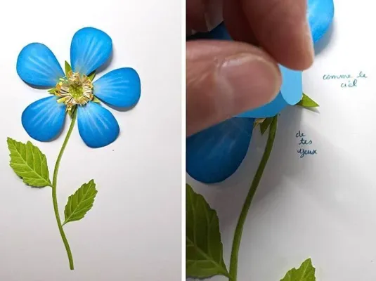 Sous les jupes des fleurs avec Fanny Pageaud