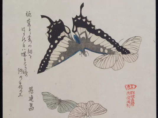 Visite : Le tatouage au Japon