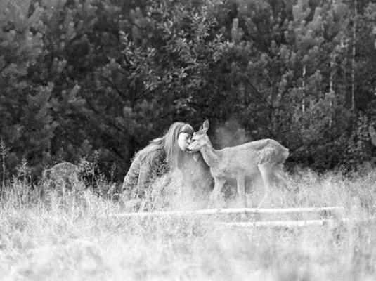 Białowieża, La forêt vivante de Lech & Simona - Bilingue © Lech Wilczek, Archives Ida Matysek