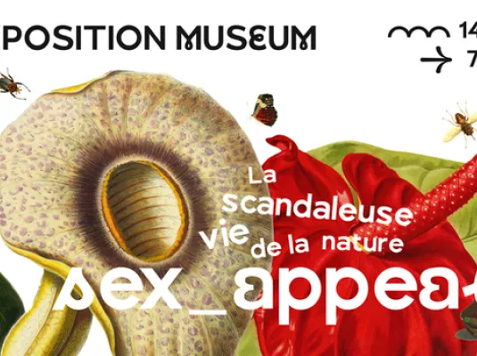 Visite de l'exposition Sex-appeal