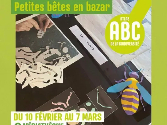 EXPOSITION BIZZZARRE Petites bêtes en bazar