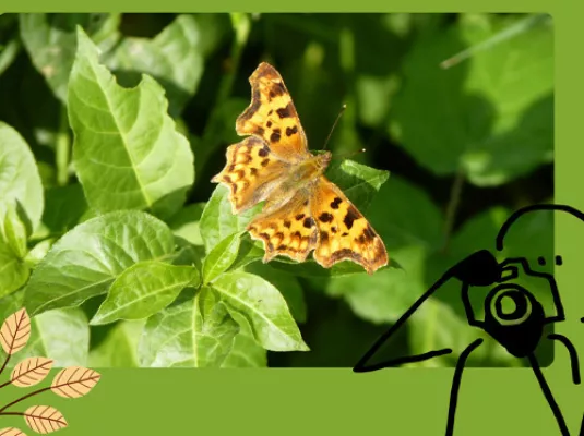 Nos jardins, refuges de vie © Droits réservés