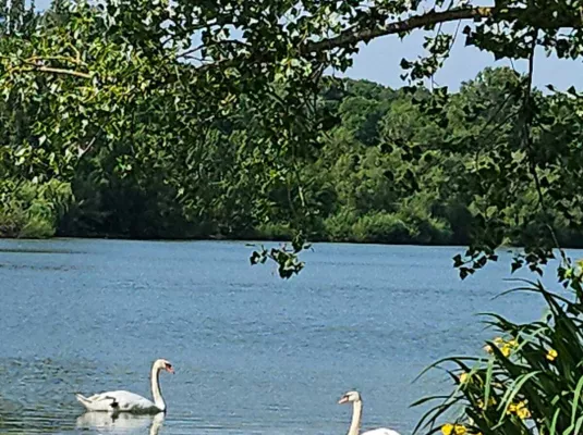 BALADE AUTOUR DU LAC © Mairie Aussonne