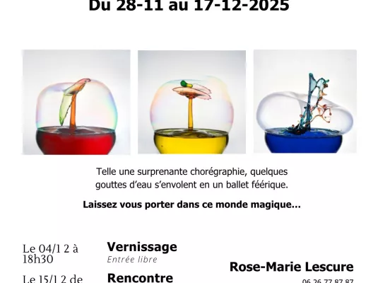 Exposition de Rose-Marie Lescure « Dans ma bulle » - Du 28 novembre au 17 décembre