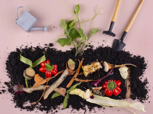 Formation aménagements : Et si mes déchets végétaux rendaient mon jardin plus beau ?