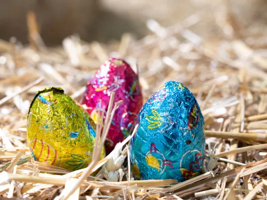 Chasse aux œufs aquatique