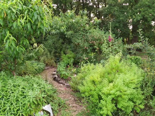 Journée sol et découverte de la permaculture au Muséum