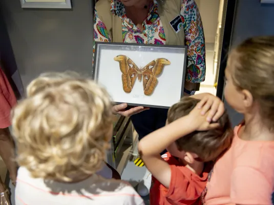 Visite de la Réserve pour les tout-petits © Frank Alix, Museum de Toulouse