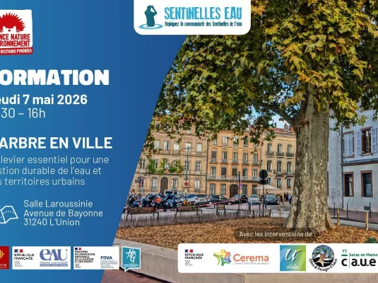 Journée de l'arbre en ville - Jeudi 7 mai