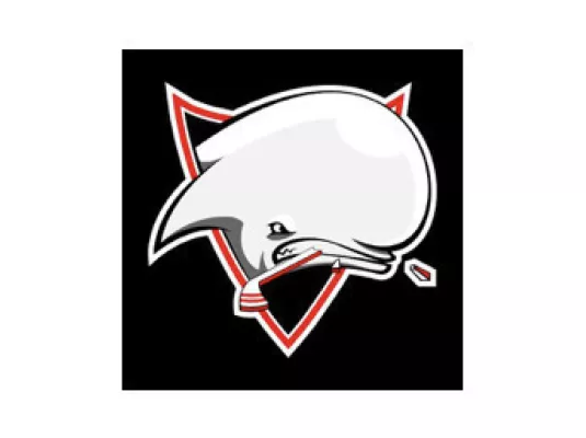Toulouse Blagnac Hockey Club - Anglet 2 © Toulouse Blagnac Hockey Club