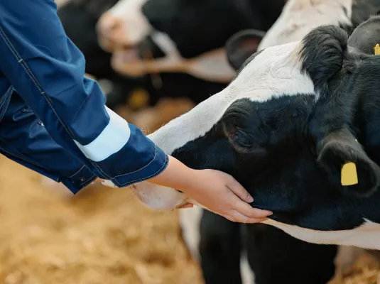 De la peste noire au COVID-19 : l’essor des maladies venues des animaux © Parilov via AdobeStock