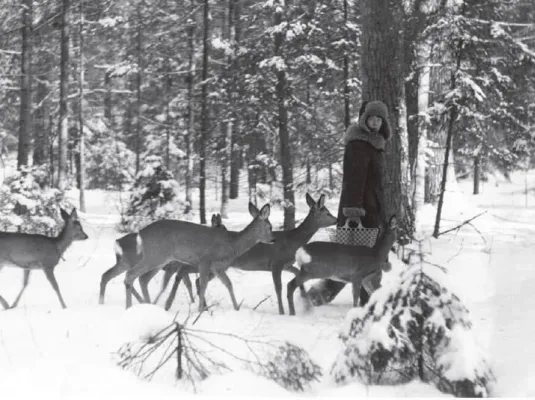Dans la forêt