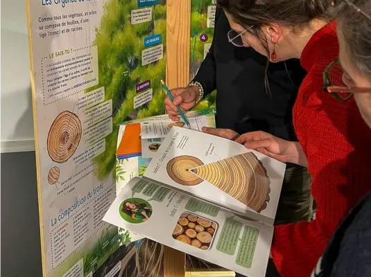 Exposition l’arbre et ses secrets