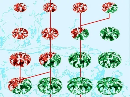High Volatility © Thomas Gasquet