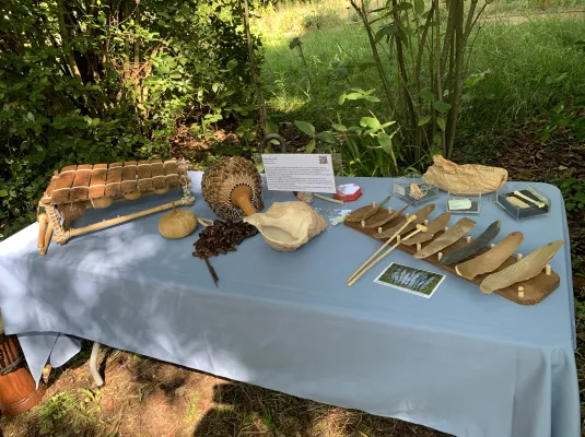 Découverte des instruments de musique du monde au Muséum