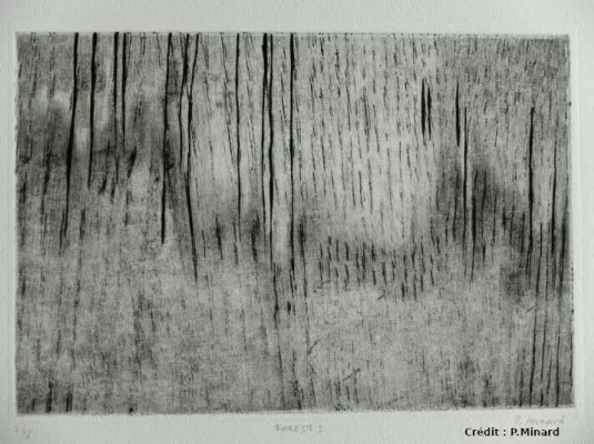 Mardi de l’art : Philippe Minard, artiste graveur