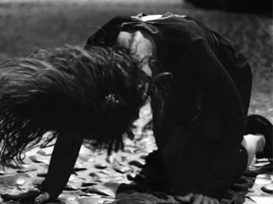 No necesito un nombre para ser Mascota © © Ana Cotoré