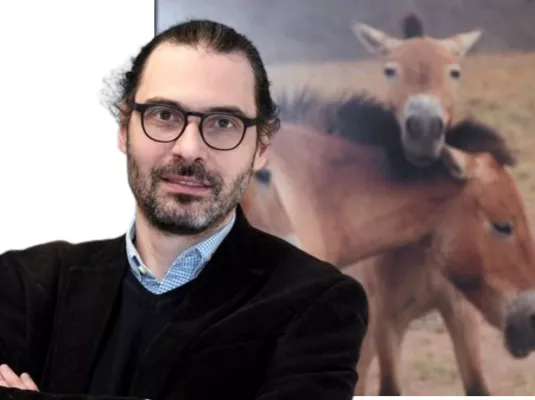 Projection de conférence : Domestication du cheval, ce que révèle l’ADN ancien © ©