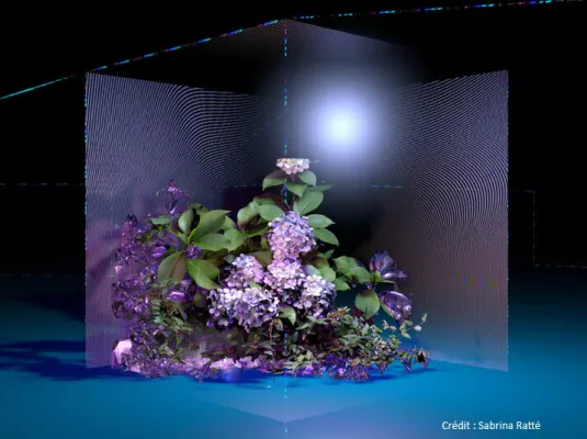 [ SCROLL ! ] Floralia